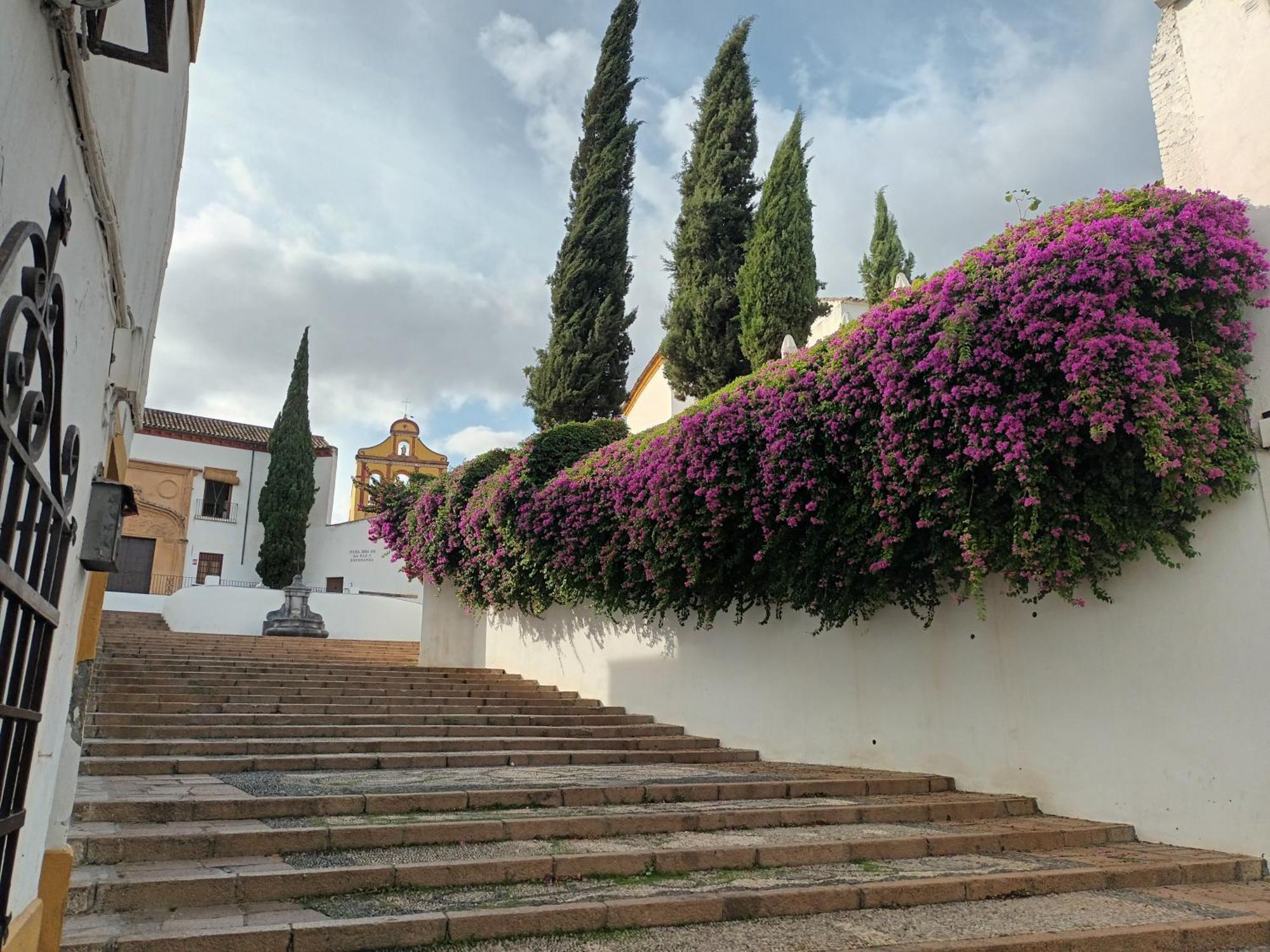 Casa San Mateo Leilighet Córdoba Eksteriør bilde